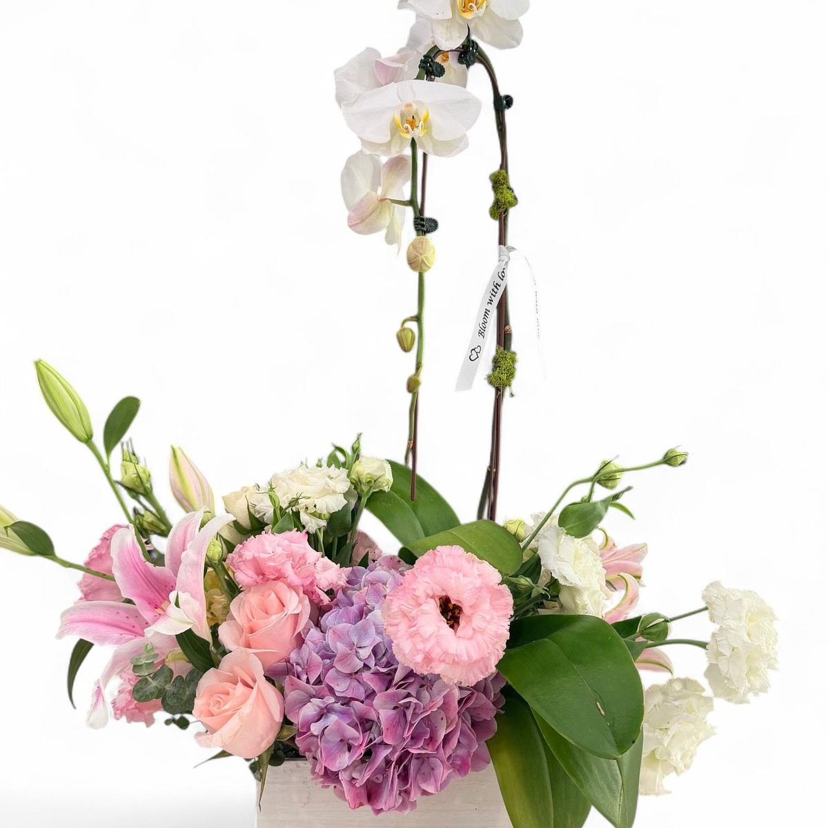 Orchid Garden Elegance arrangement with cascading white phalaenopsis orchids